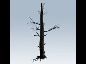 tree charred trunk Model 3D