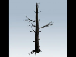 tree charred trunk 3D Model