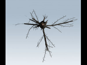 tree charred trunk Model 3D