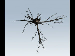 tree charred trunk 3D Model