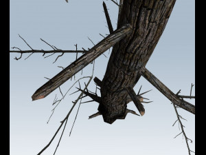 tree charred trunk Model 3D
