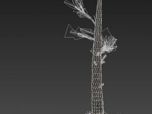 tree charred trunk 3D Model