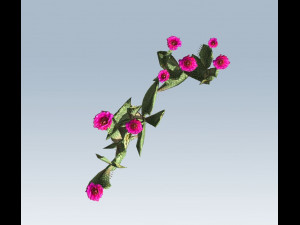 cactus 3D Model