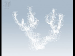 cactus 3D Model