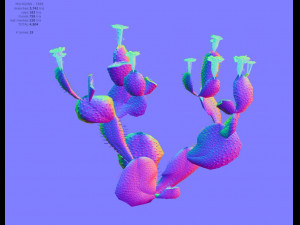 cactus 3D Model