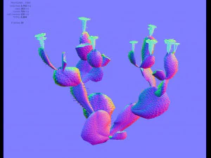 cactus 3D Model