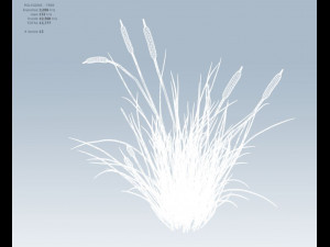 cattail 3D 모델