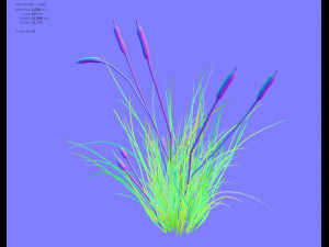 cattail 3D 모델