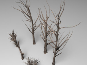 dead tree Modèle 3D