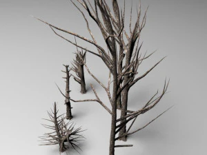 dead tree 3D Model