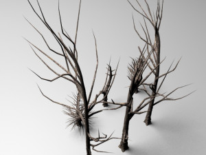 dead tree Modèle 3D