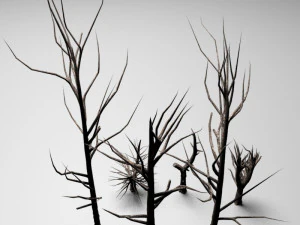 dead tree 3D Model