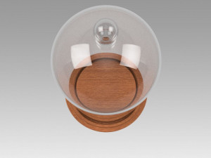 dome glass Modèle 3D