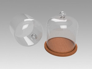 dome glass 3D 模型
