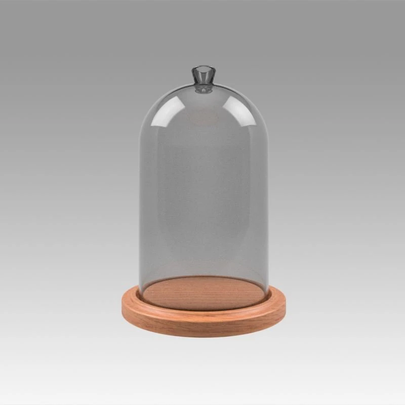 dome glass 3D Model .c4d .max .obj .3ds .fbx .stl .blend 
