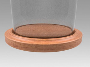 dome glass 3D Model