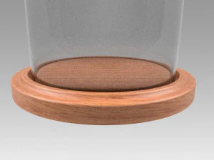 dome glass 3D Model
