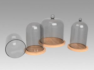 dome glass 3D 模型