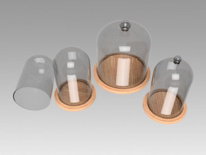 dome glass Modèle 3D