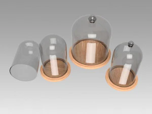 dome glass 3D Model