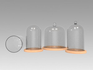 dome glass Modèle 3D