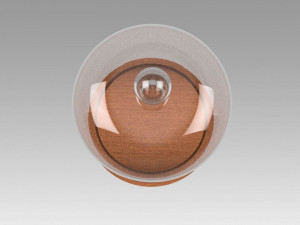dome glass Modèle 3D