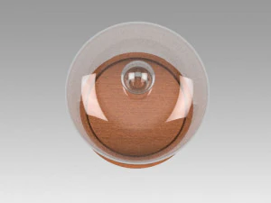 dome glass 3D Model