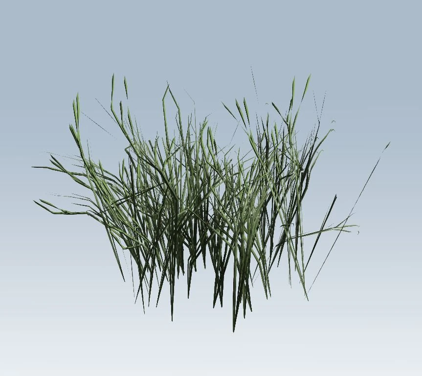 reed grass vegetation 3D Model .c4d .max .obj .3ds .fbx .stl .blend