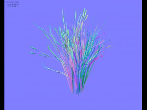 reed grass vegetation 3D Model