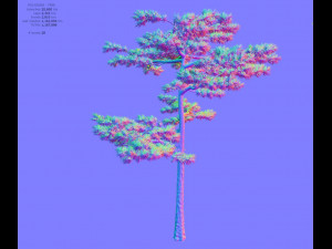 huangshan pine tree 3D Model