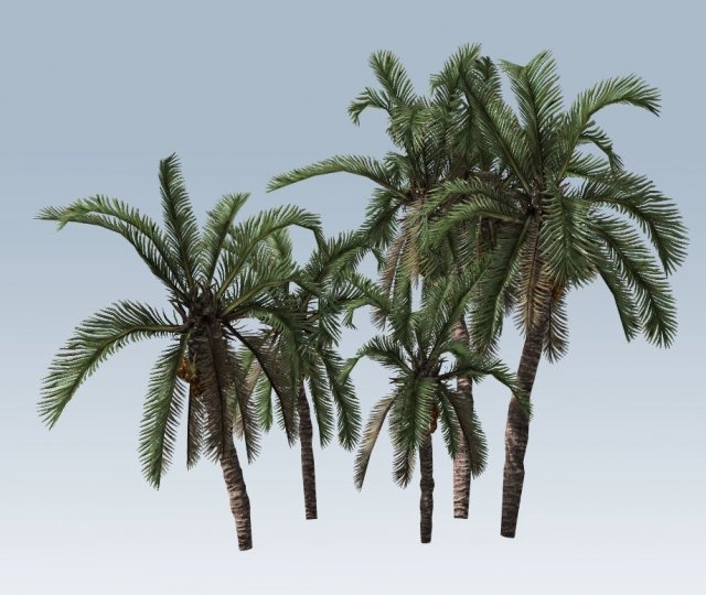 palm trees Modelo 3D .c4d .max .obj .3ds .fbx .stl .blend 