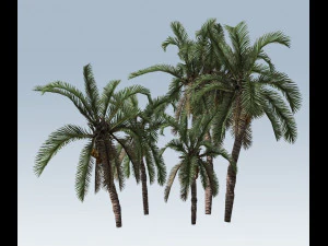 palmbomen 3D Model