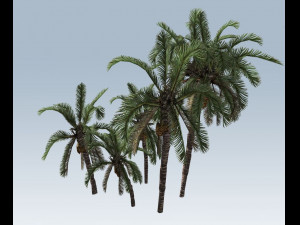 palm trees Modelo 3D