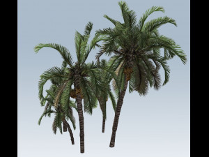 palm trees Modelo 3D