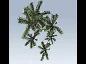 palm trees Modelo 3D