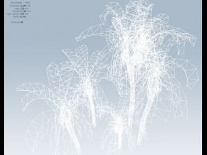 palm trees Modelo 3D