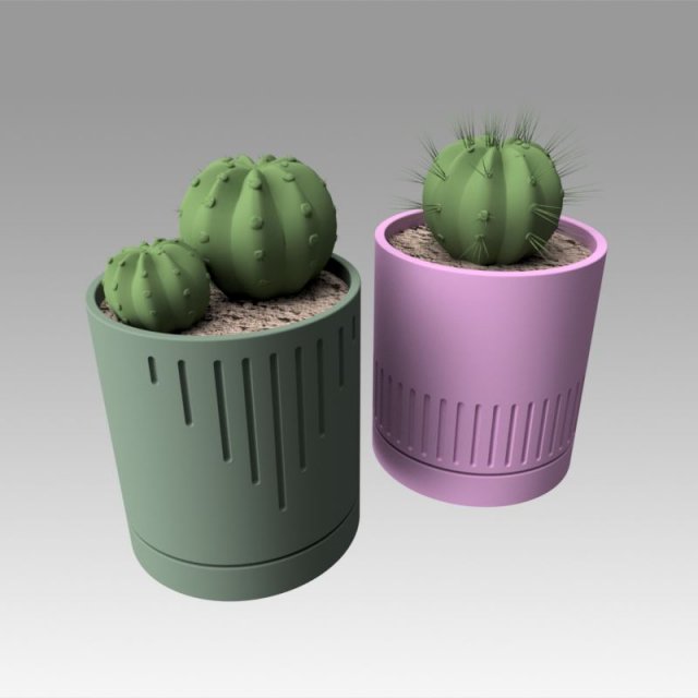 flowerpot with cactus 3D Model .c4d .max .obj .3ds .fbx .stl .blend 