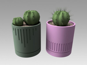 flowerpot with cactus 3D Model