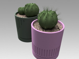 flowerpot with cactus 3D Model