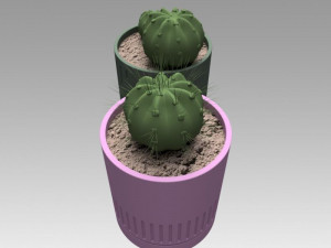 flowerpot with cactus 3D Model
