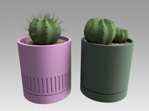 flowerpot with cactus 3D Model