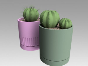 flowerpot with cactus 3D Model