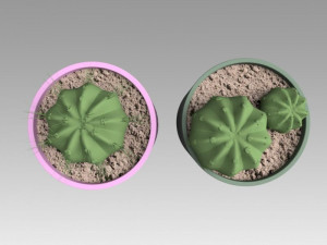 flowerpot with cactus 3D Model