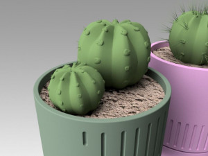 flowerpot with cactus 3D Model