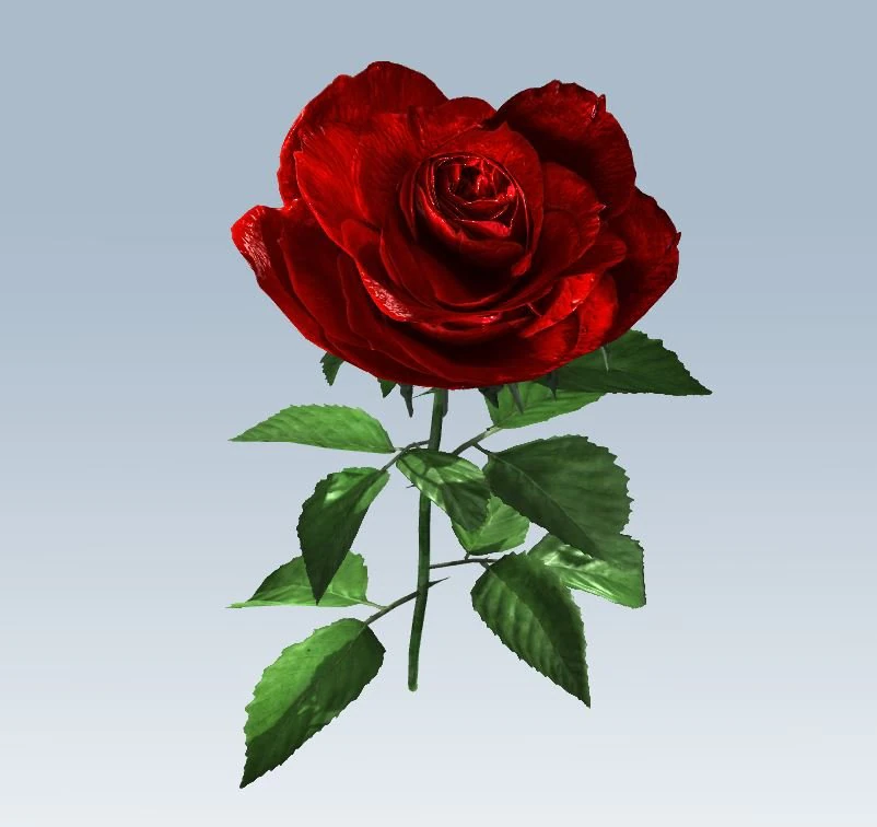 red rose 3D Model .c4d .max .obj .3ds .fbx .stl .blend 