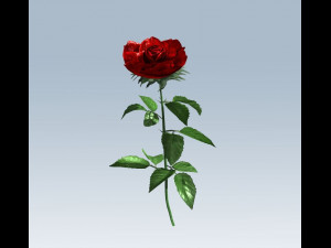 red rose Modelo 3D