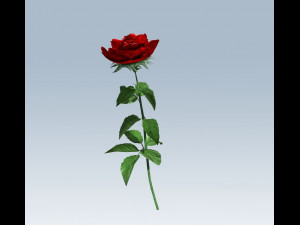 red rose Modelo 3D