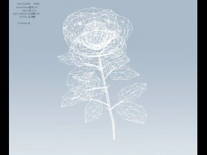 red rose 3D Model