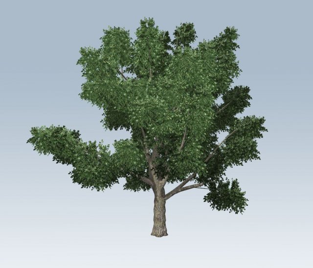 simple tree Modelo 3D .c4d .max .obj .3ds .fbx .stl .blend 