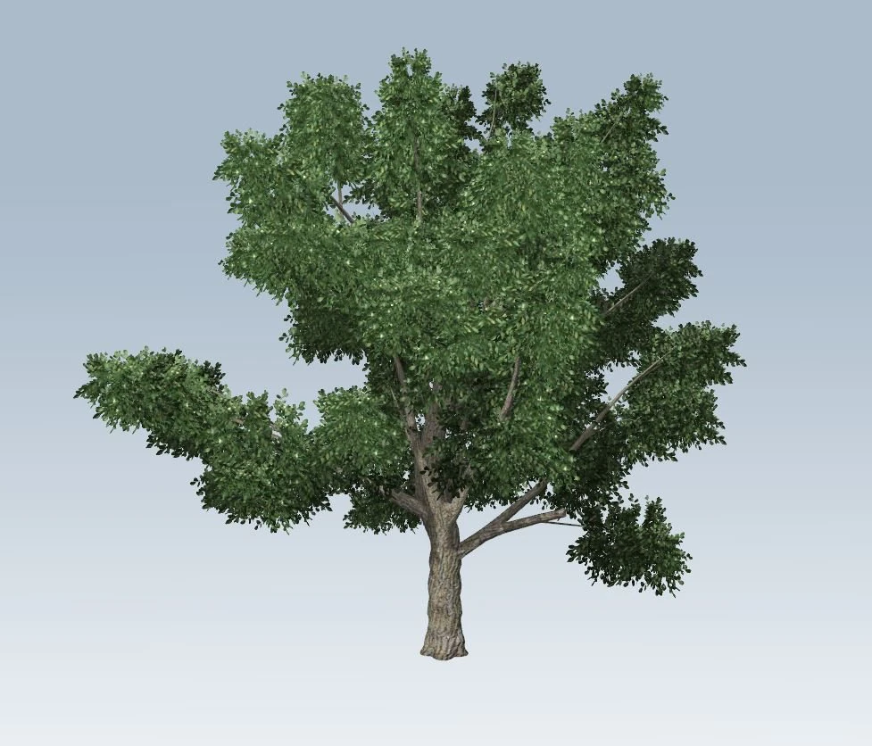 simple tree 3D Model .c4d .max .obj .3ds .fbx .stl .blend